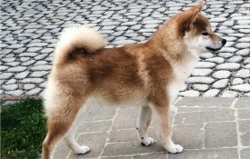 photo_2025-11-17_08-43-45