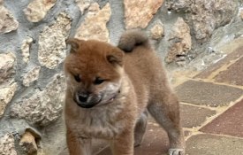 photo_2025-12-31_10-15-43