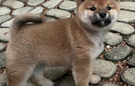 photo_2025-12-31_10-15-53