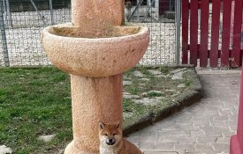 photo_2026-01-22_20-05-45