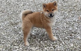 photo_2026-01-22_20-05-49