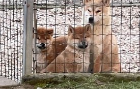 photo_2026-01-22_20-06-08